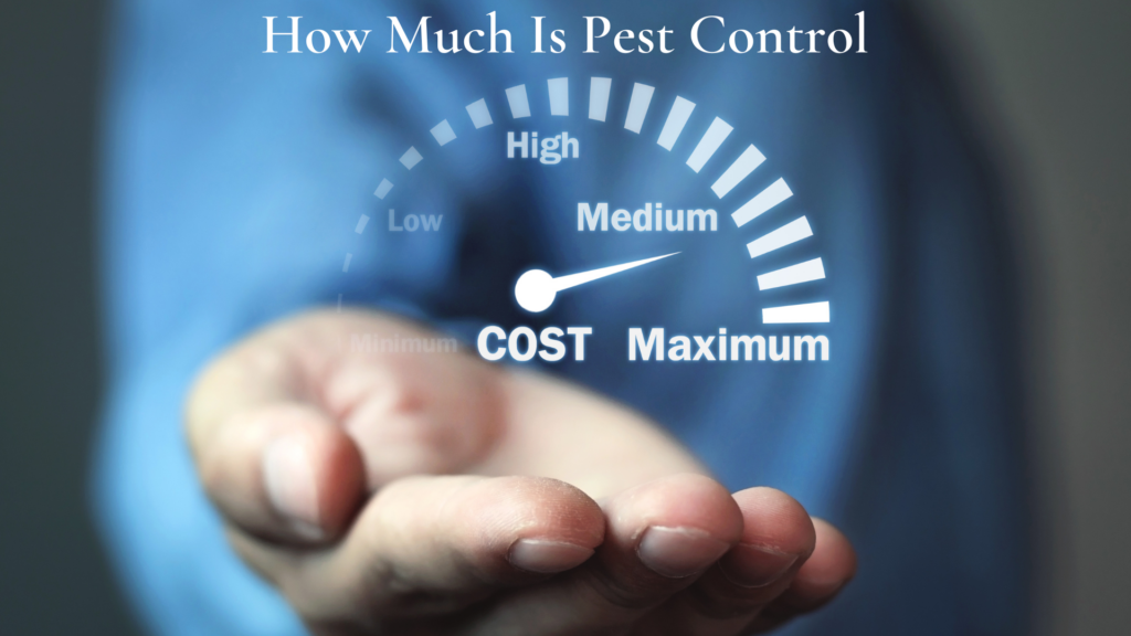 Pest Control Service in St. Clair Shores thumbnail