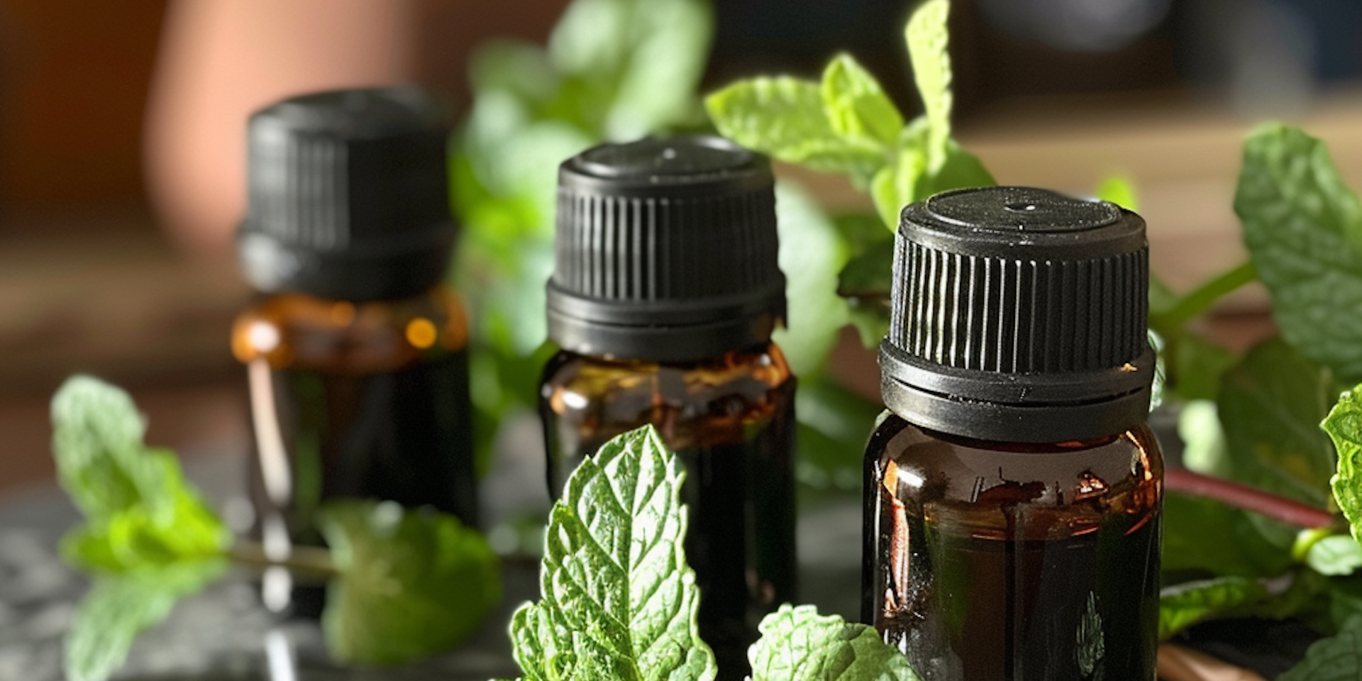 essential oils extracted from herbs are known to repel bugs