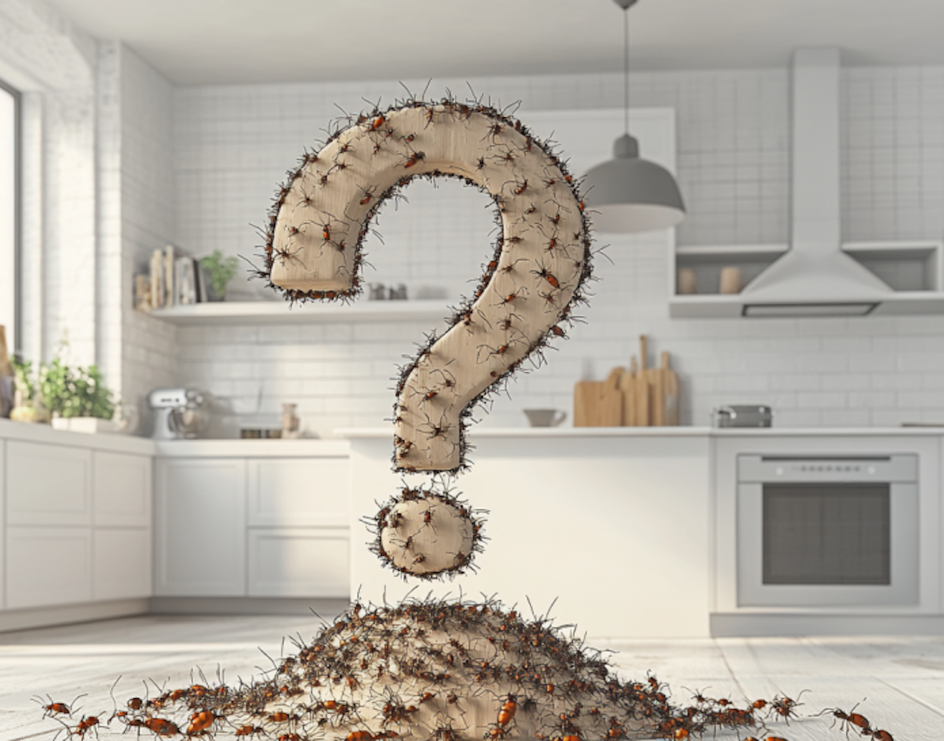 11 Pest Control Myths Most Homeowners Get Wrong