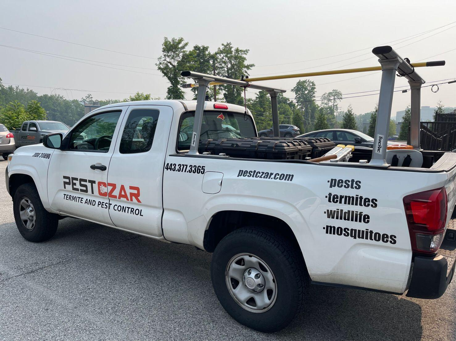 Why Hiring a Pest Control Company Is Worth It in Maryland-2